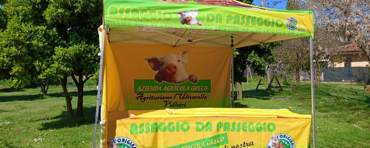 WhatsApp Image 2024-03-14 at 10.41.09 (1)