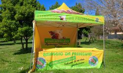 WhatsApp Image 2024-03-14 at 10.41.09 (1)