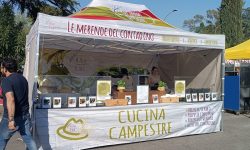 WhatsApp Image 2024-04-13 at 09.08.58