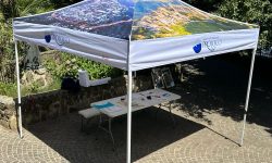 WhatsApp Image 2024-07-13 at 11.31.41