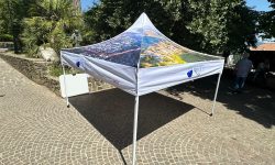 WhatsApp Image 2024-07-13 at 12.01.46 (1)