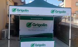 WhatsApp Image 2024-08-05 at 12.02.45 (2)