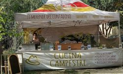 WhatsApp Image 2024-09-30 at 18.46.04