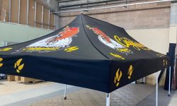 WhatsApp Image 2024-10-31 at 11.03.23 (4)