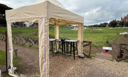 WhatsApp Image 2024-12-11 at 12.07.20 (1)