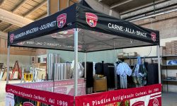 WhatsApp Image 2025-03-03 at 14.25.05