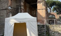 WhatsApp Image 2025-03-07 at 17.44.14 (1)