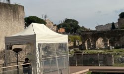 WhatsApp Image 2025-03-07 at 17.44.20 (2)