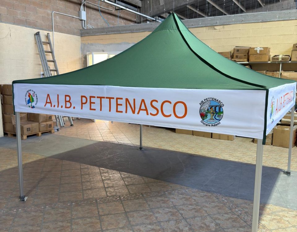 WhatsApp Image 2025-04-04 at 12.20.49 (2)