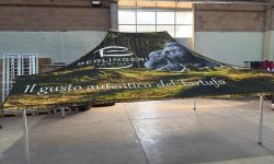 WhatsApp Image 2025-04-08 at 15.13.26 (2)