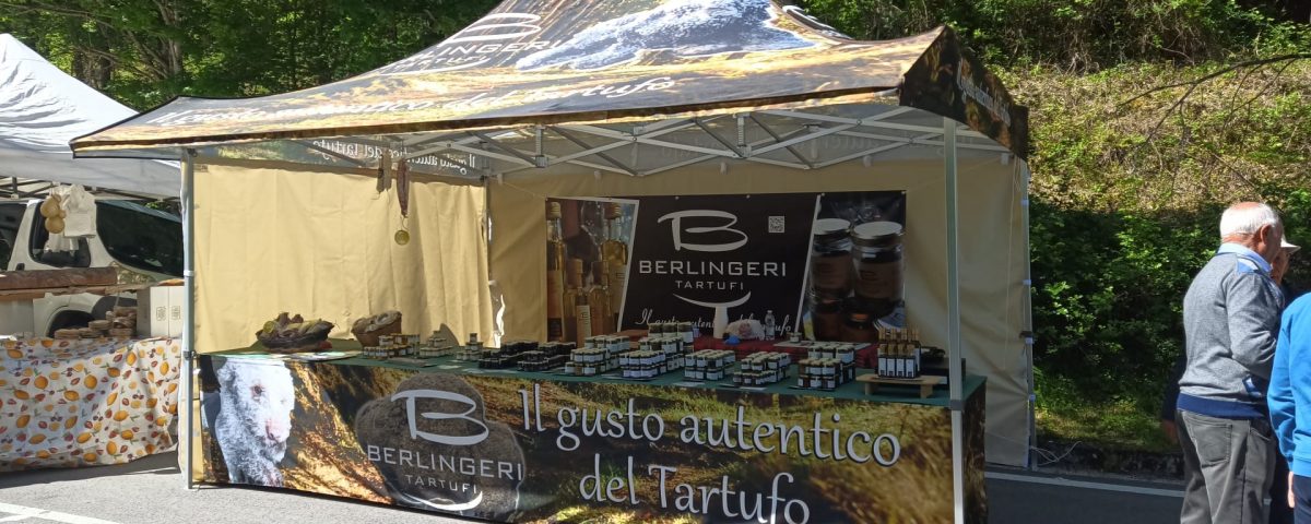 WhatsApp Image 2025-05-01 at 10.31.10