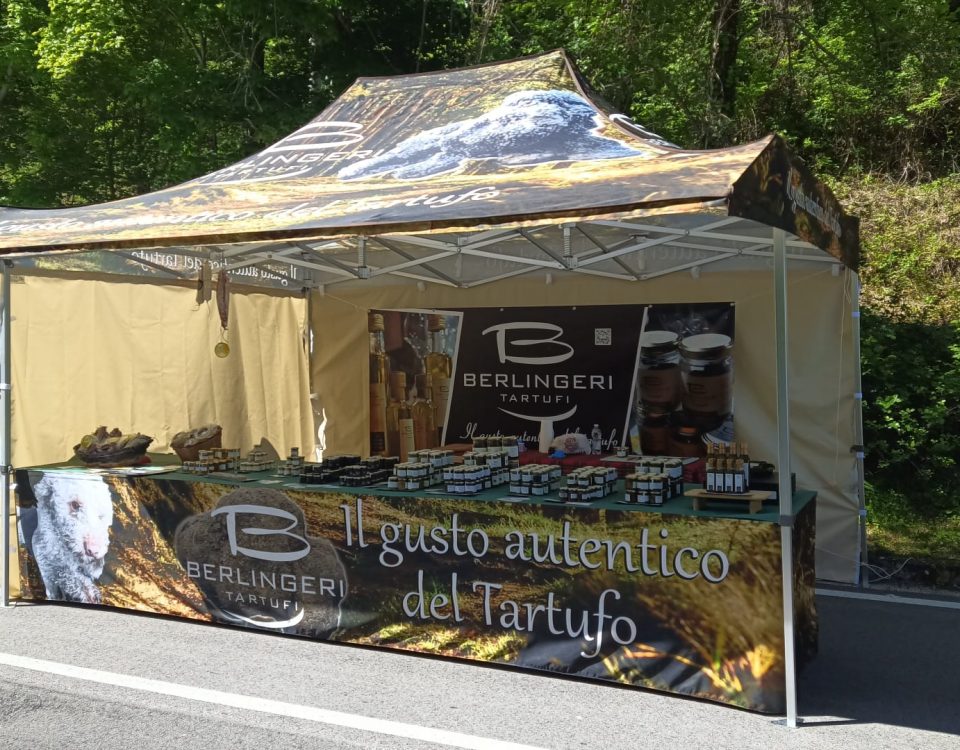 WhatsApp Image 2025-05-01 at 10.31.10