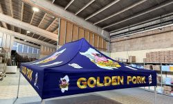 WhatsApp Image 2025-05-13 at 12.05.18 (1)