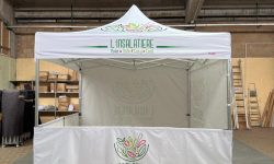 WhatsApp Image 2025-05-13 at 15.35.17 (1)