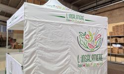 WhatsApp Image 2025-05-13 at 15.35.17 (3)