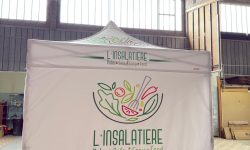 WhatsApp Image 2025-05-13 at 15.35.18