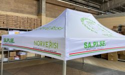 WhatsApp Image 2025-06-10 at 09.26.39 (2)