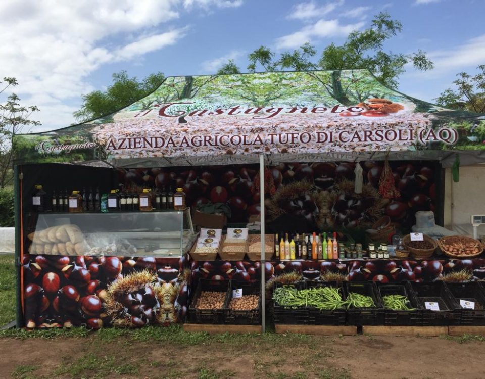 WhatsApp Image 2025-06-16 at 13.59.49