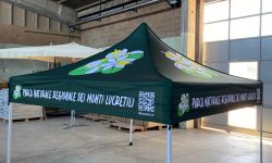 WhatsApp Image 2025-07-15 at 11.16.03 (1)