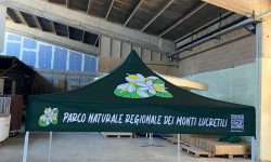 WhatsApp Image 2025-07-15 at 11.16.03 (2)