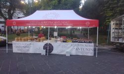 WhatsApp Image 2025-07-30 at 10.24.30