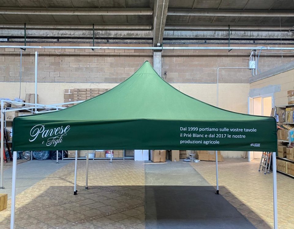 WhatsApp Image 2025-09-03 at 17.32.22