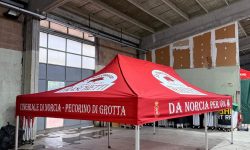 WhatsApp Image 2025-09-10 at 11.48.35 (2)