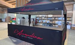 WhatsApp Image 2025-09-16 at 11.27.10