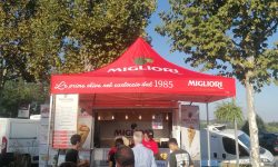 WhatsApp Image 2025-09-19 at 17.54.01 (1)