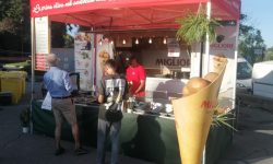 WhatsApp Image 2025-09-19 at 17.54.01