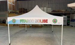 WhatsApp Image 2025-09-30 at 12.33.18 (2)