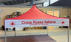 WhatsApp Image 2025-11-11 at 10.49.26 (3)