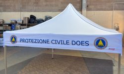 WhatsApp Image 2025-11-11 at 11.09.33