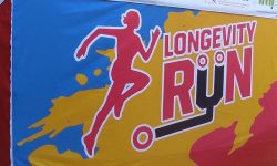 d3c49203-710a-45fb-a875-616b1908f1f0