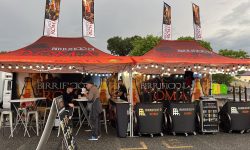 esempio gazebo con pensilina frontale