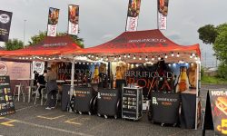 esempio tetto con pensilina