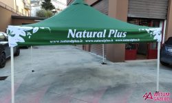 natural plus 2