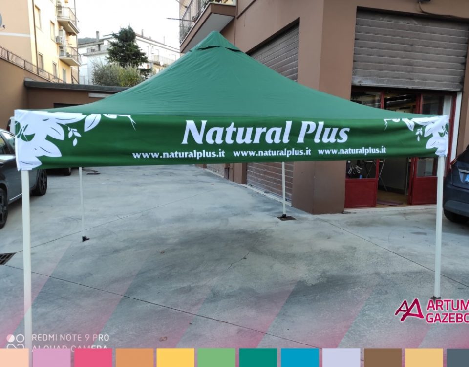 natural plus 2
