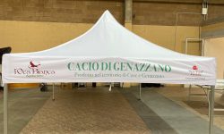 WhatsApp Image 2024-10-16 at 12.04.11