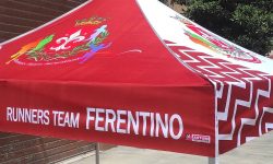 ba9464a4-70ca-404f-9e06-5c8bfde938c0