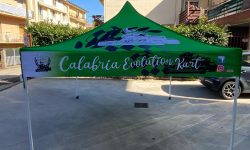 calabria kart (5)
